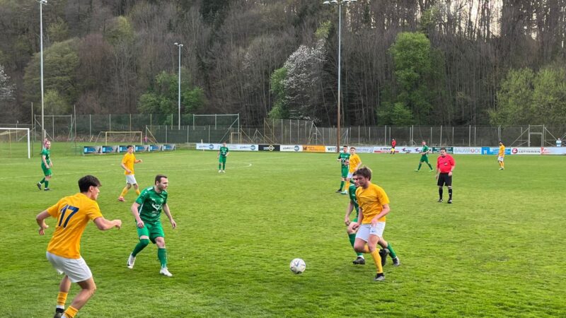 Starke Teamleistung beschert Punkt